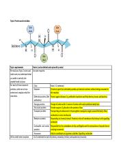 Notes document Topic 4 - Proteins and evolution.docx