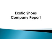 72605792-BSG-Exotic-Shoes-Company-Report
