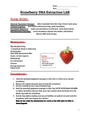 Roy- DNA Extraction Lab.pdf