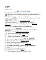 MEL DELGADO - A&P WB. CH. 7 Answer Sheet.pdf