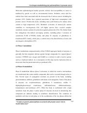 chapter 4.pdf