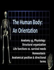 Ch. 1 - Intro. to Anatomy & Physiology - Original Full Version.pptx
