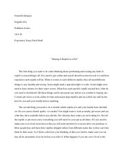 Expository Essay Final Draft.docx