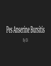 Pes Anserine Bursitis.pdf