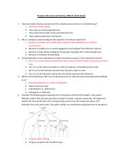 E_IBA1_PBS_exam_2020.pdf