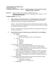 Chapter 2 Learning Objectives 2016 (1).docx