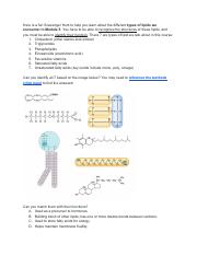 Module 5. Types of Lipids (1).pdf
