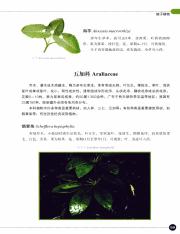 中华人文自然百科·植物卷_68.pdf