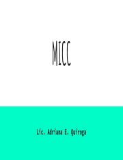 Clase 1 micc (1).pdf