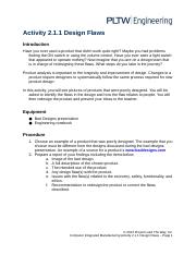 2.1.1. Design Flaws.docx