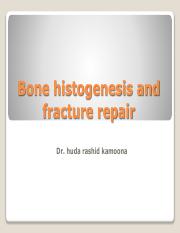 2021-11-08 L8 - Bone Histogenesis & Fracture Repair.pdf