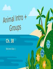 9 - Intro to Animals + Groups (1).pptx