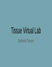 Tissue Virtual Lab Slides.pptx
