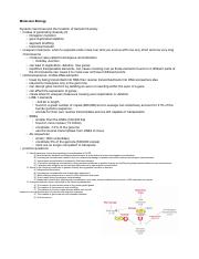 Molecular Biology Guide 1.pdf