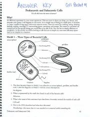 CellPacket1ANSWERS  33335555ﬂ“6CWWUﬂﬁd Anemia Key Ceii Patiéei‘ﬂ Prokaryotic and 