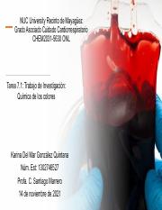 Quimica de los colores-Sangre.Karina Gonzalez.pdf