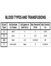 BLOOD TYPES AND TRANSFUSIONS.pdf