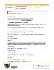 Plantilla protocolo individual (4) (1).pdf