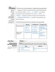 meiosis worksheet (1).pdf