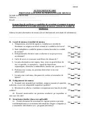 Autocertificare SSM - telemunca candidati (1).doc
