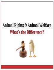 Ethics-in-Veterinary-Medicine-NXPowerLite_06.pptx