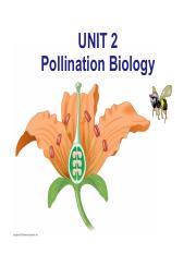 Pollination_2020w_post_1.pdf