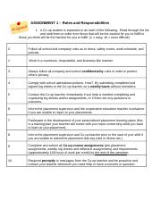ASSIGNMENT 1 Roles & Responsibilities (2).docx