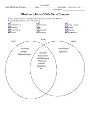 Copy of Biology Plant Animal Cells Venn Diagram - 9~18~2020 McKenzie  Johnson 2nd Score out of 12 Name Date Period Corrected by Plant and |  Course Hero
