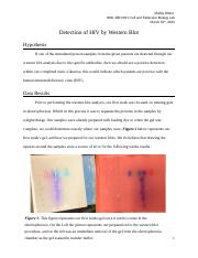 Detection of HIV by Western Blot.docx