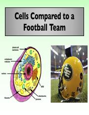 Cells compared to a Football Team.pdf