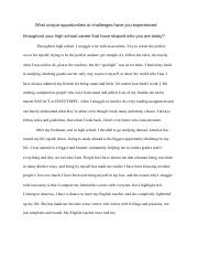 UT Austin essay.pdf