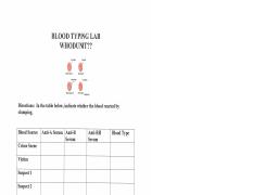 Kaitlyn Bagwell - Blood Typing Lab.pdf