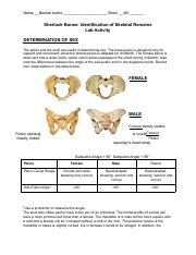 Skeleton Lab (2).pdf