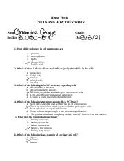 HW Cell 2 copy.docx