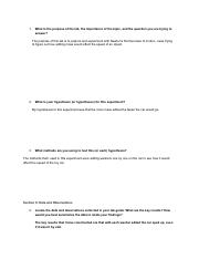 Lab report-6.pdf