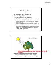 9-Photosynthesis-STUDENTVERSION-2