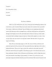 Argumentative Essay (Final) (Dellamura)-1.docx