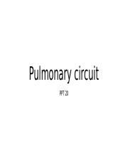 20. Pulmonary circuit.pptx