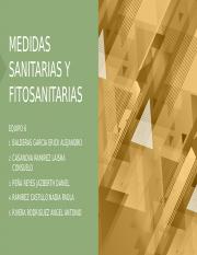 MEDIDAS SANITARIAS Y FITOSANITARIAS 2.1 (4).pptx