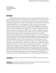 Lab Report #2.pdf