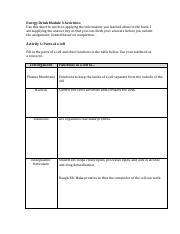 Rowan Alssoudi- Energy Drink Module 3 copy.pdf