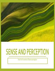Sense and perception 1 (1).pdf