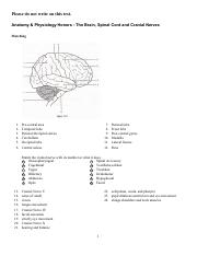 Chapter 10 Brain and Spinal Cord Test.pdf