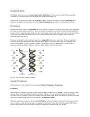 NOTES ON DNA REPLICATION.doc