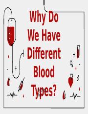 Why do We Have Different Blood Types.pptx
