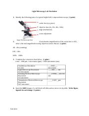 Light Microscopy Lab Worksheet-1 (1).docx