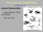 PHYLUM ARTHROPODA Project Presentation