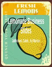 Lemonade_Business_Slides