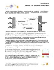 Virtual neuron software information sheet 2020.pdf