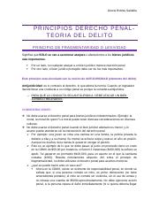 PRINCIPIOS DERECHO PENAL.docx